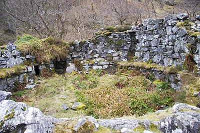 Inside the broch showing that its overgrown and original