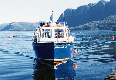 Seal trips