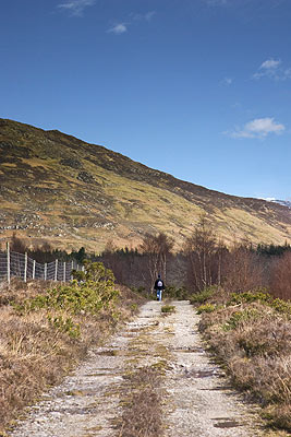 Stathcarron Walks